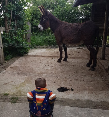 Asinerie D'embazac-L'Isle-Jourdain必去景点