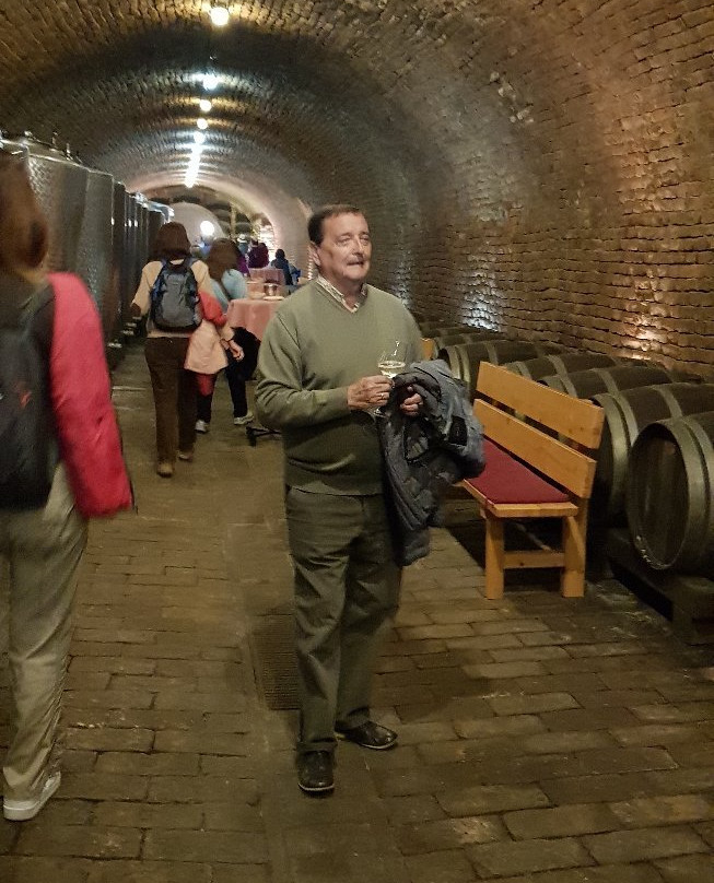 Podrum Bajilo (Wine Cellar)景点图片