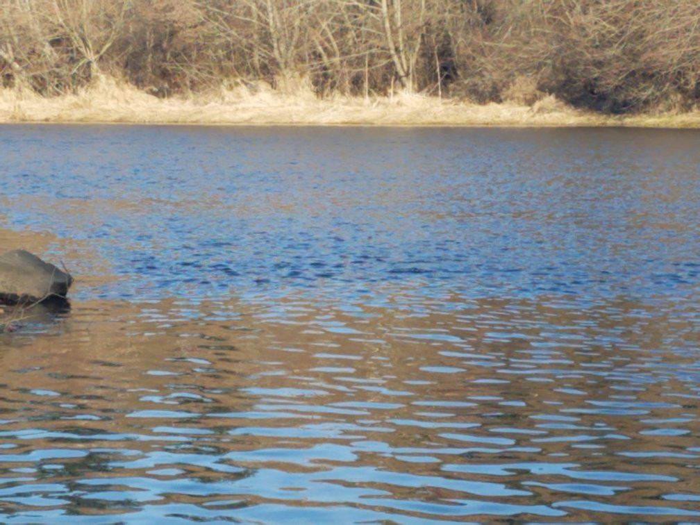 Tumwater Historical Park-塔姆沃特必去景点