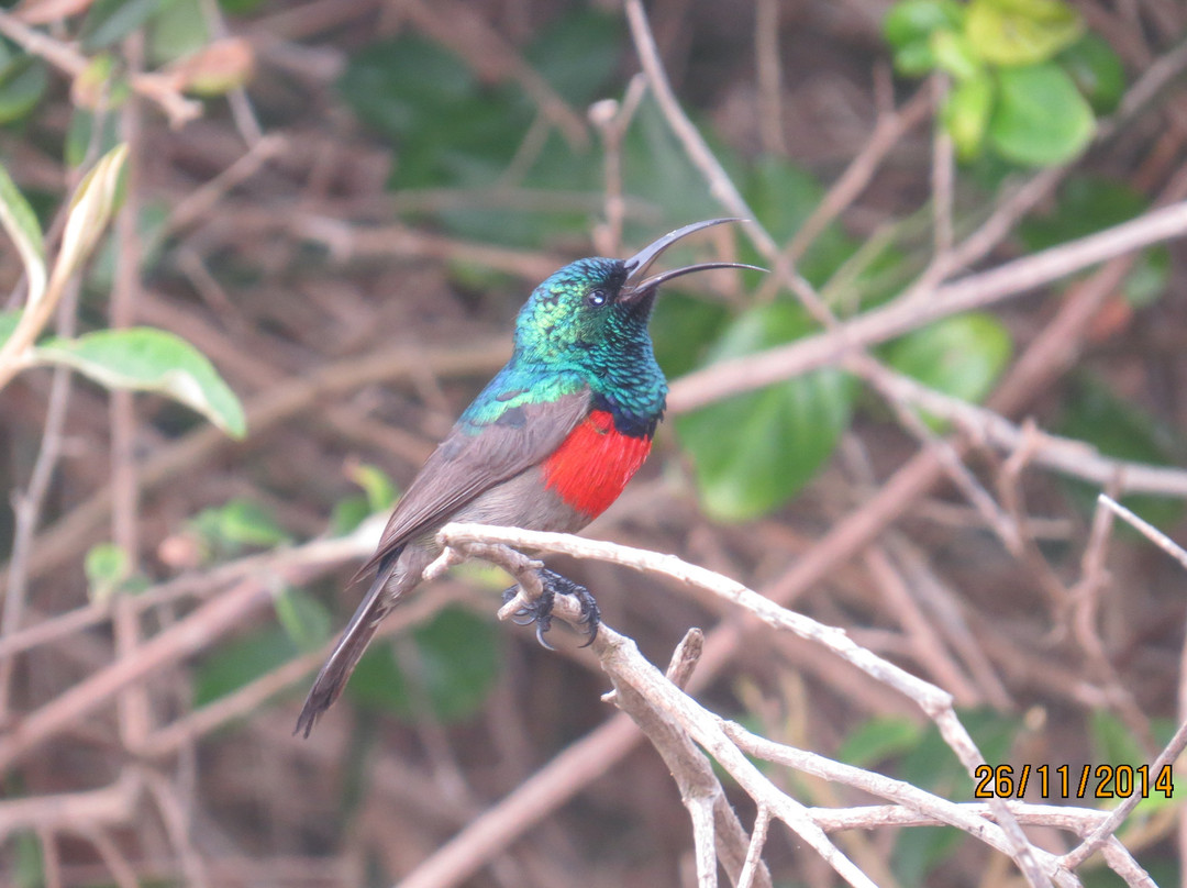 At Whale-Phin Guest House主图