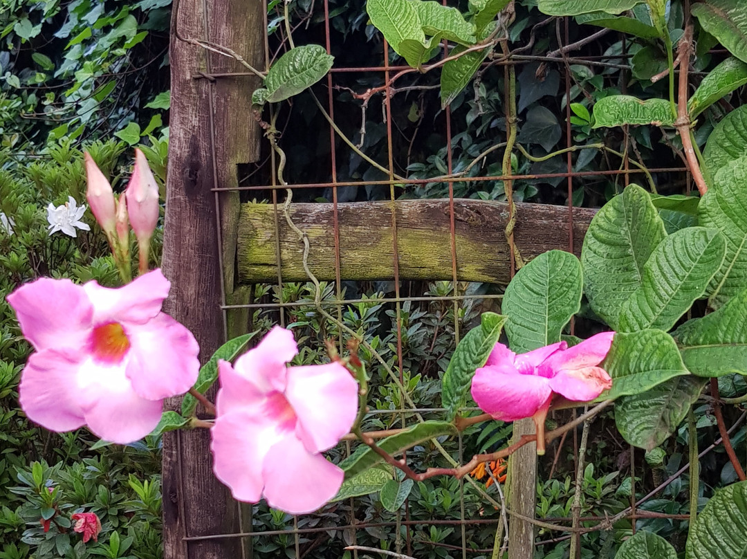 Ten on Tunzini主图