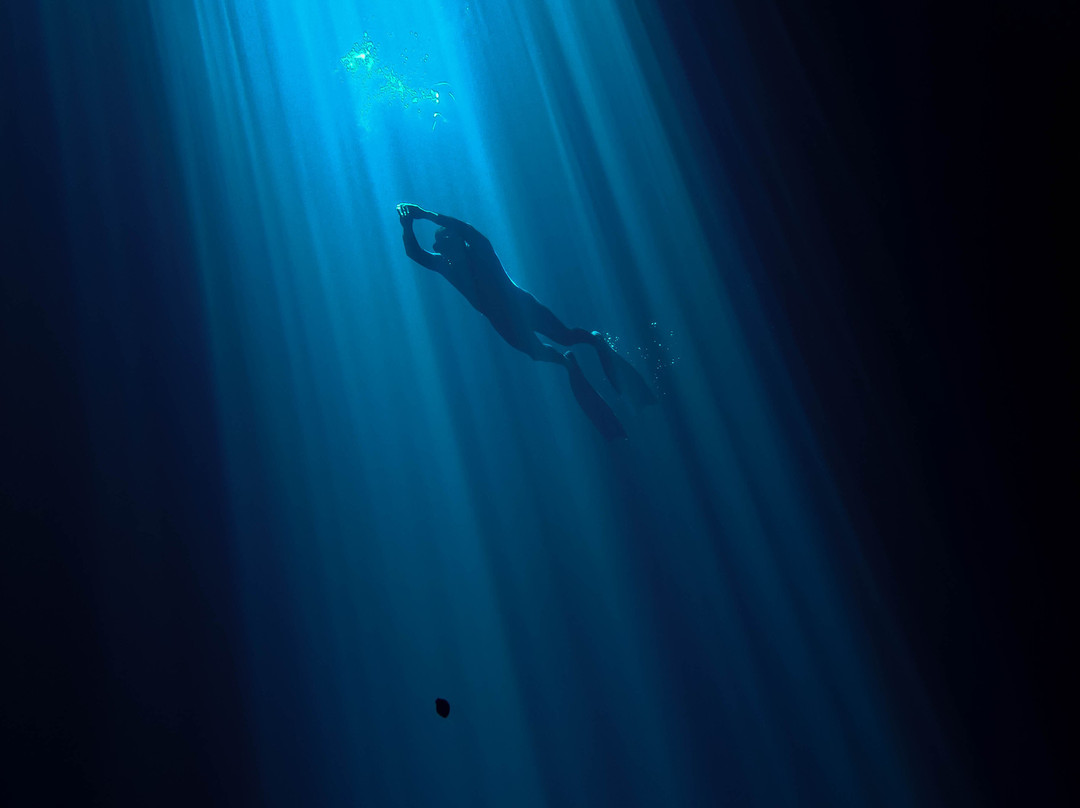 SCA Dive & Freedive Center-梅里达必去景点