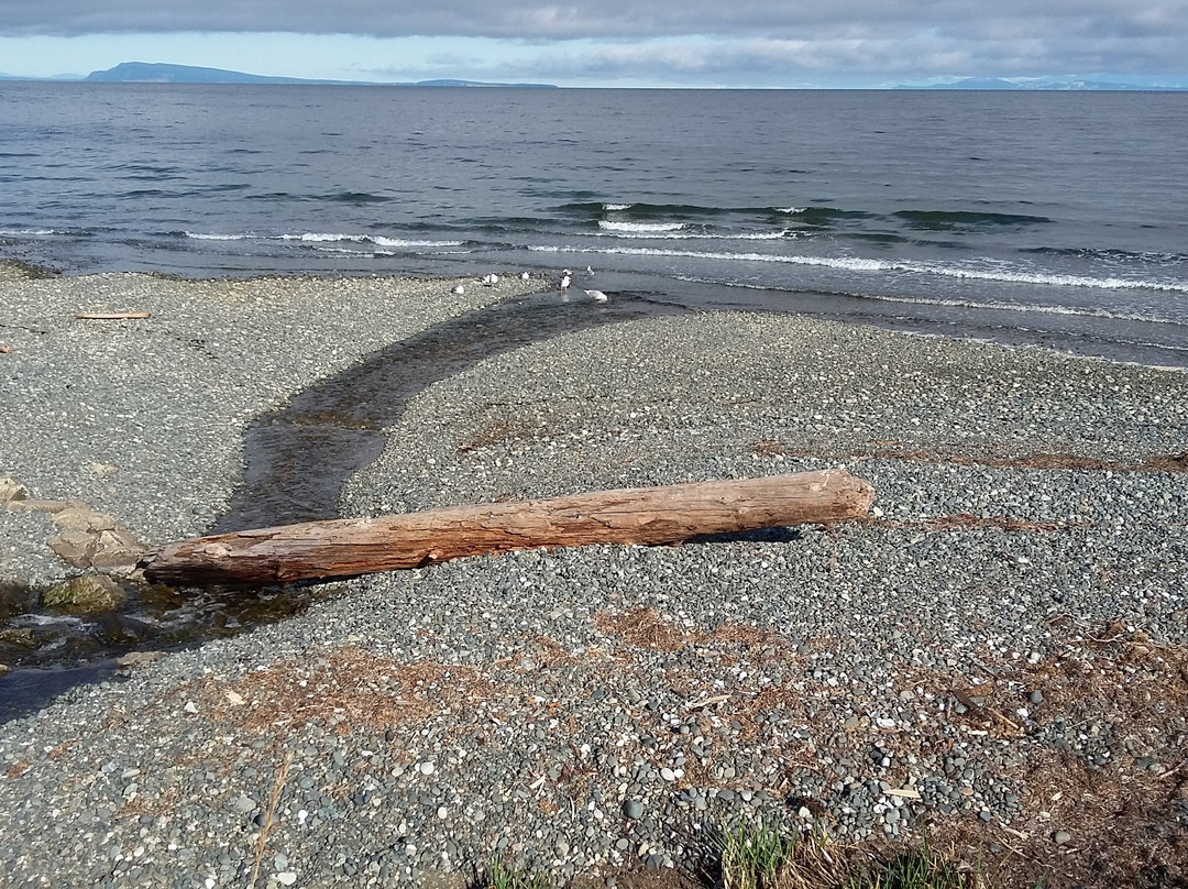 Qualicum Beach Inn主图