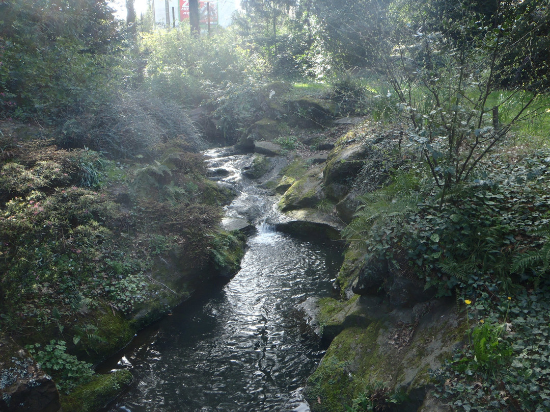 Parc de la Gaudiniere景点图片