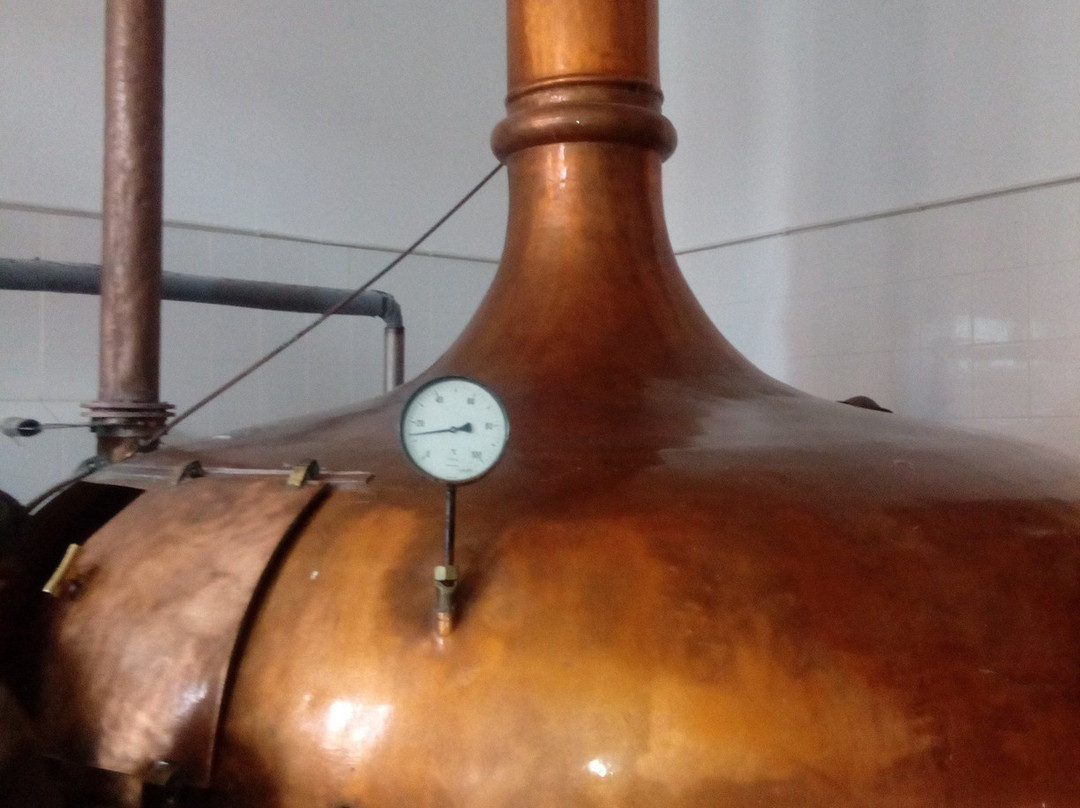 Lwowek Brewery景点图片