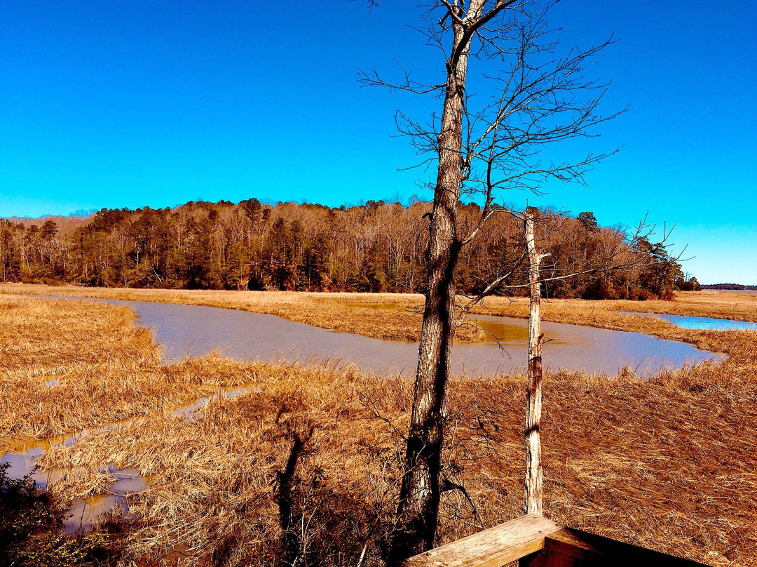 York River State Park-威廉斯堡必去景点