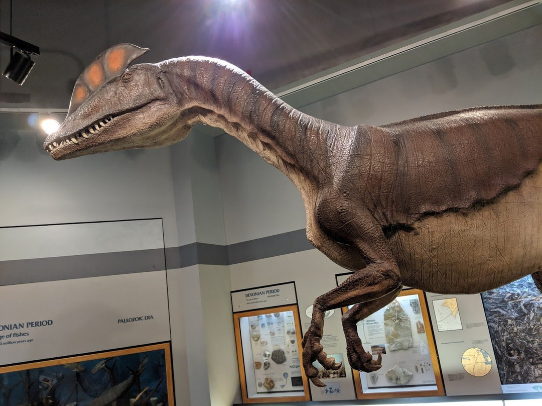 Museum Of Science & History景点图片
