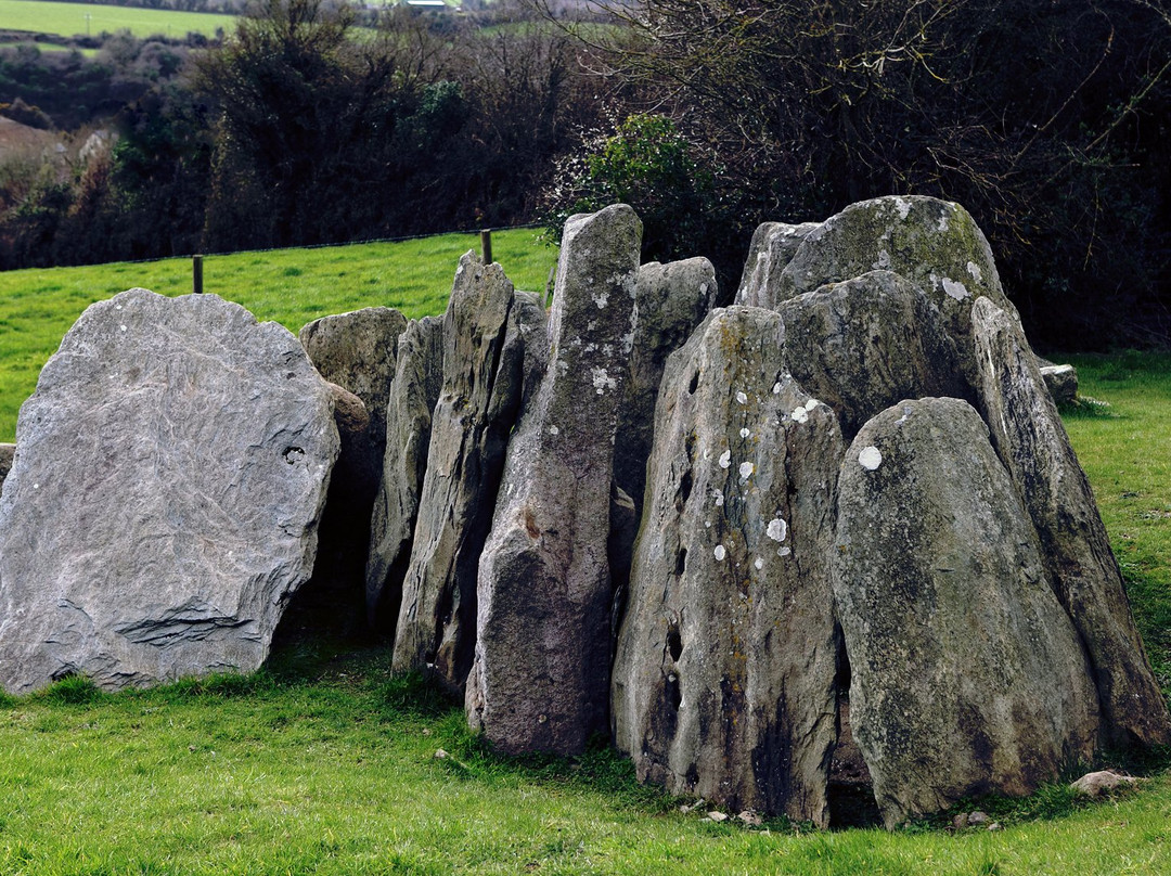 Knockroe Passage Tomb-基尔肯尼必去景点