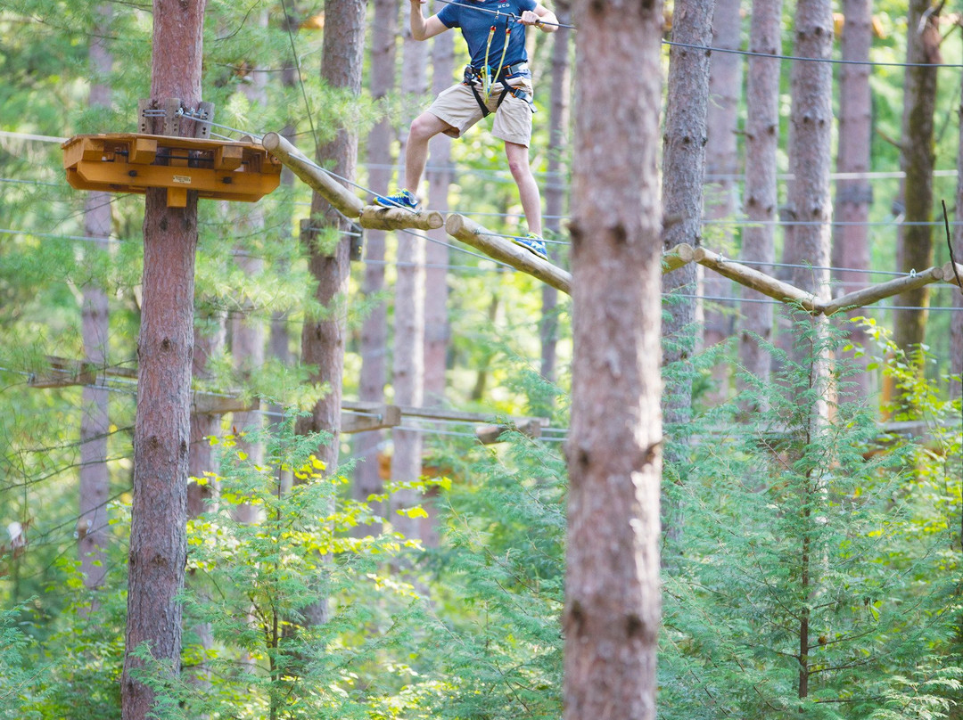 Treetop Trekking - Ganaraska-Campbellcroft必去景点