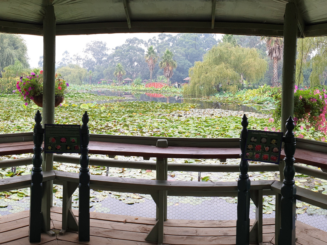 Blue Lotus Water Garden景点图片