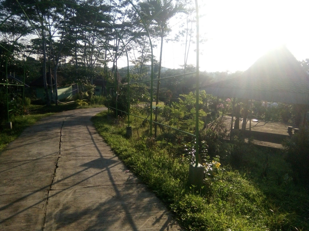 Wonorejo Dam景点图片