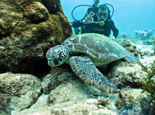 Acqua World-阿拉伊阿尔港必去景点