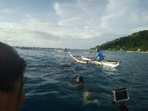 Oslob Whale Sharks-宿雾市必去景点