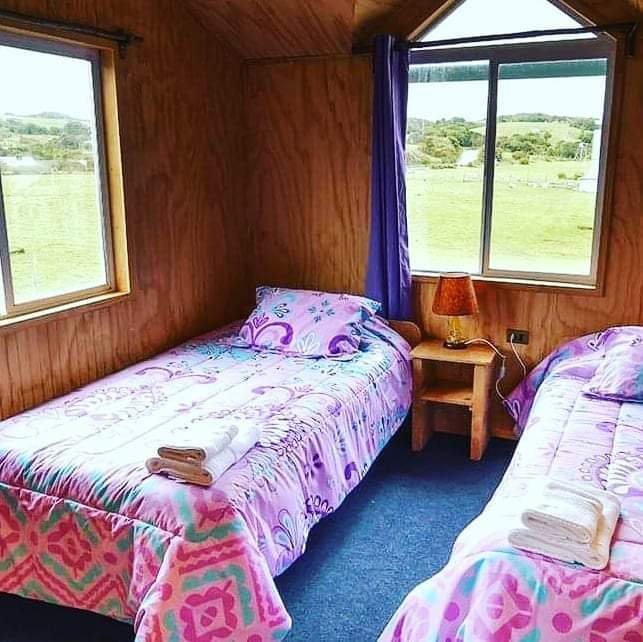 Eco Hospedaje Pinguineras主图