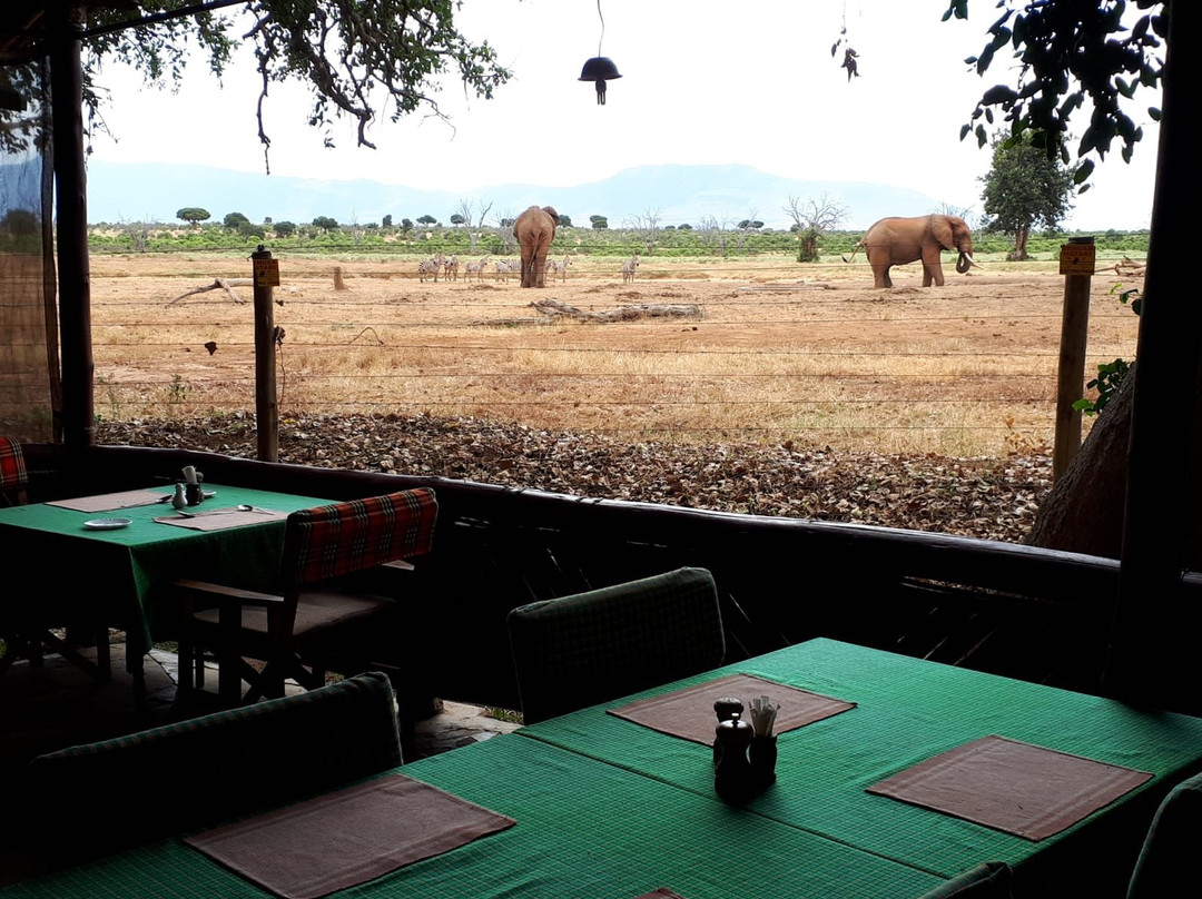 Ombre Tours & Safaris景点图片