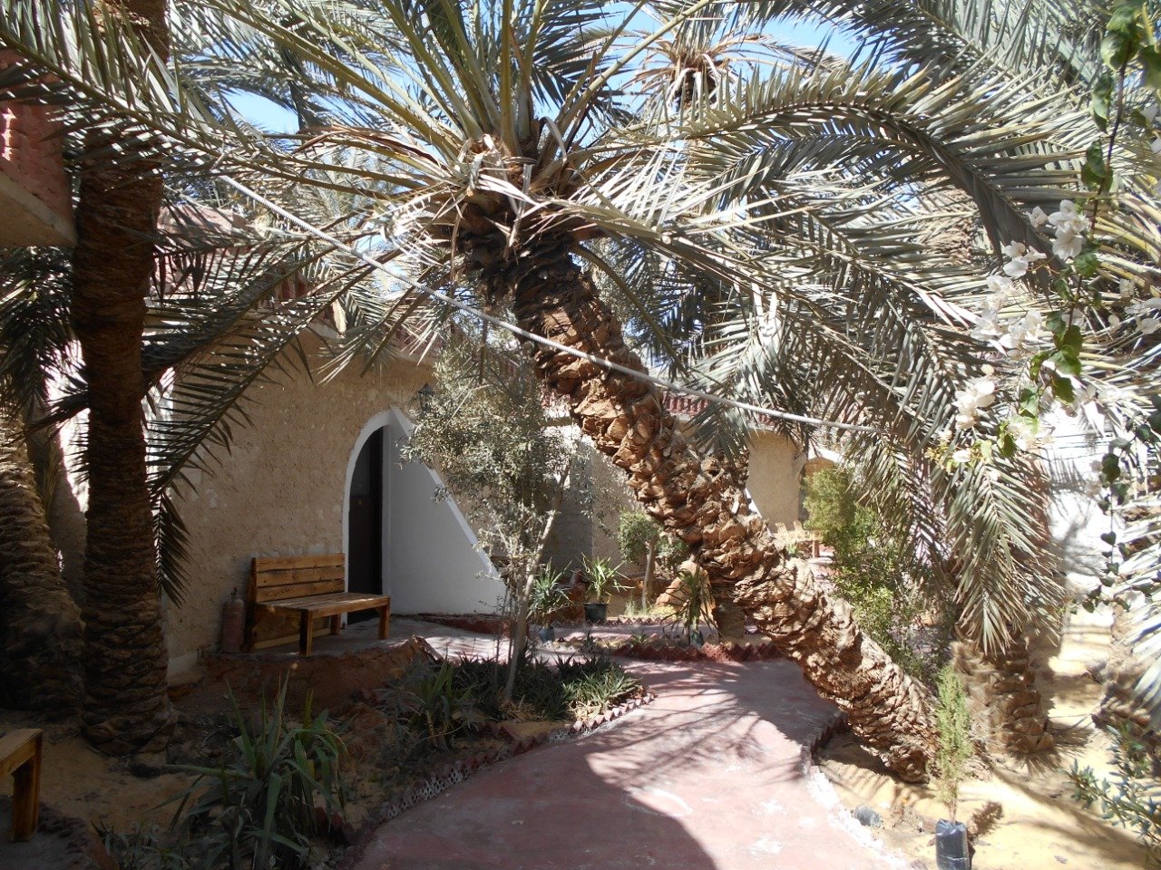 Siwa Safari Paradise Hotel & Tourist Village-浴室