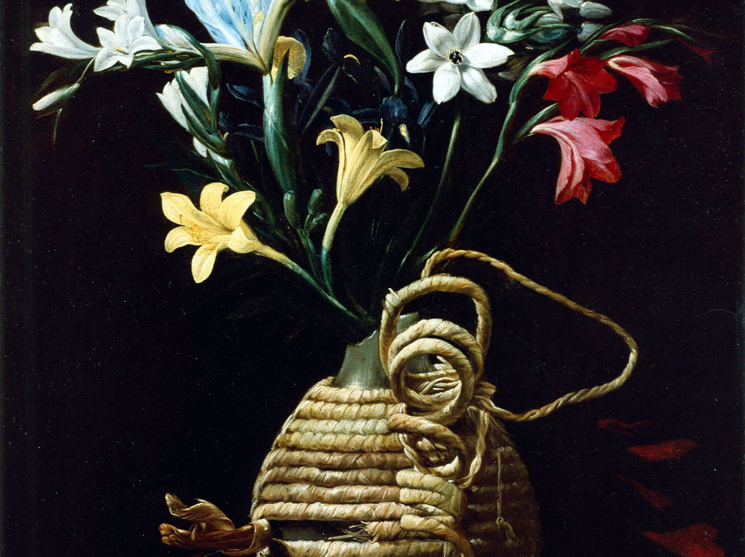 Museo Civico di San Domenico景点图片