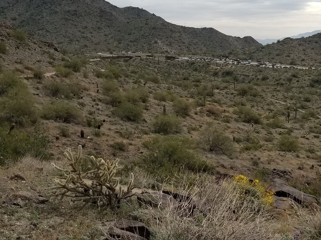Skyline Regional Park-Buckeye必去景点