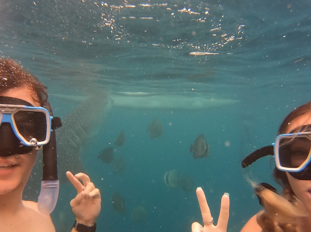 Aaron Beach Resort主图