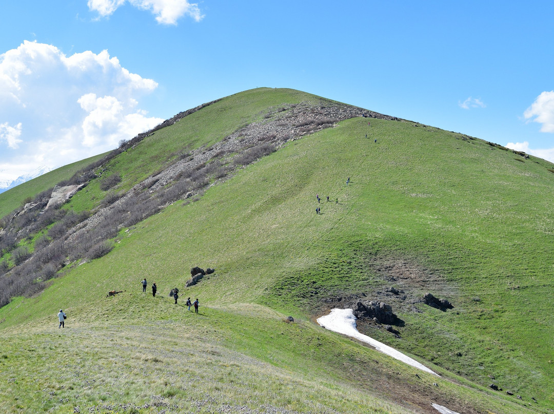 Mountain Ara景点图片