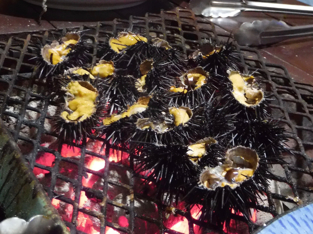 Minshuku Sakaemaru主图