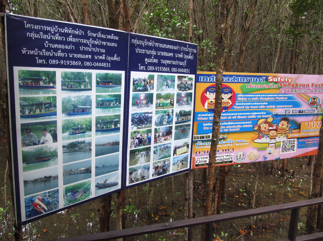 Pranburi River景点图片