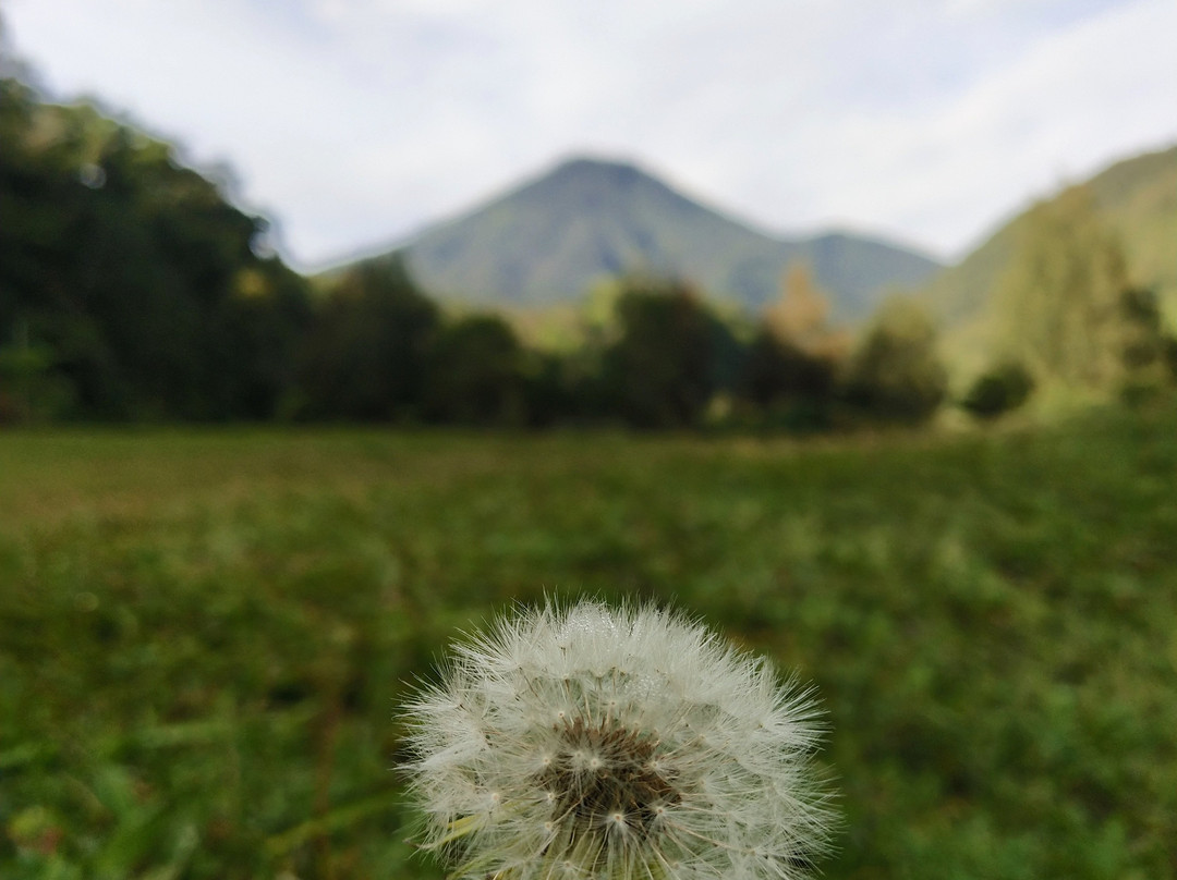 Cibodas Botanical Garden-Cianjur必去景点