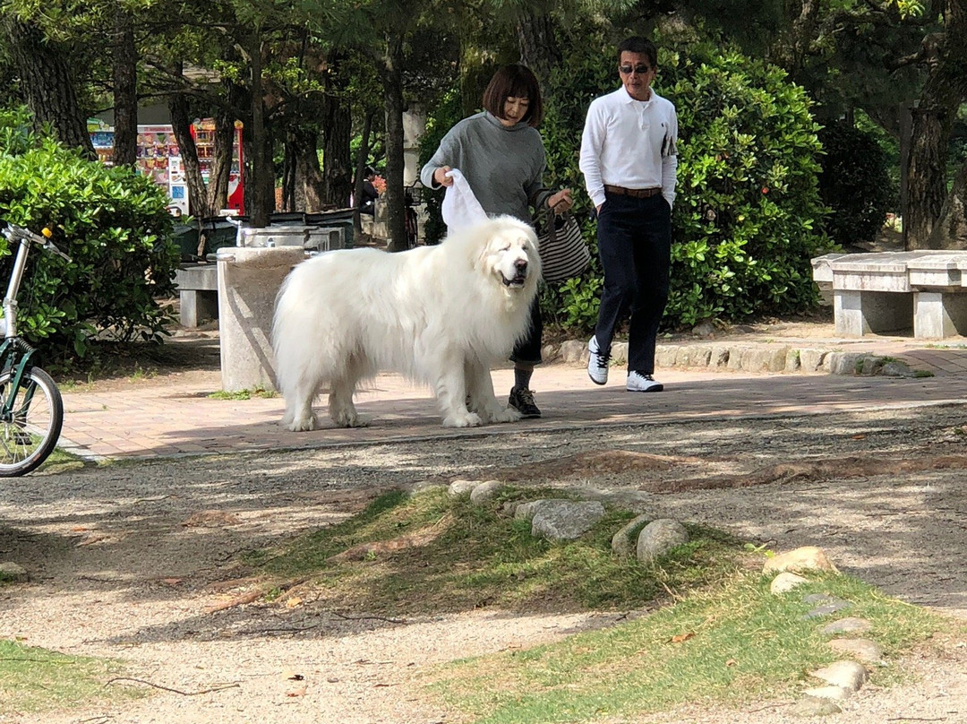 大濠公园景点图片