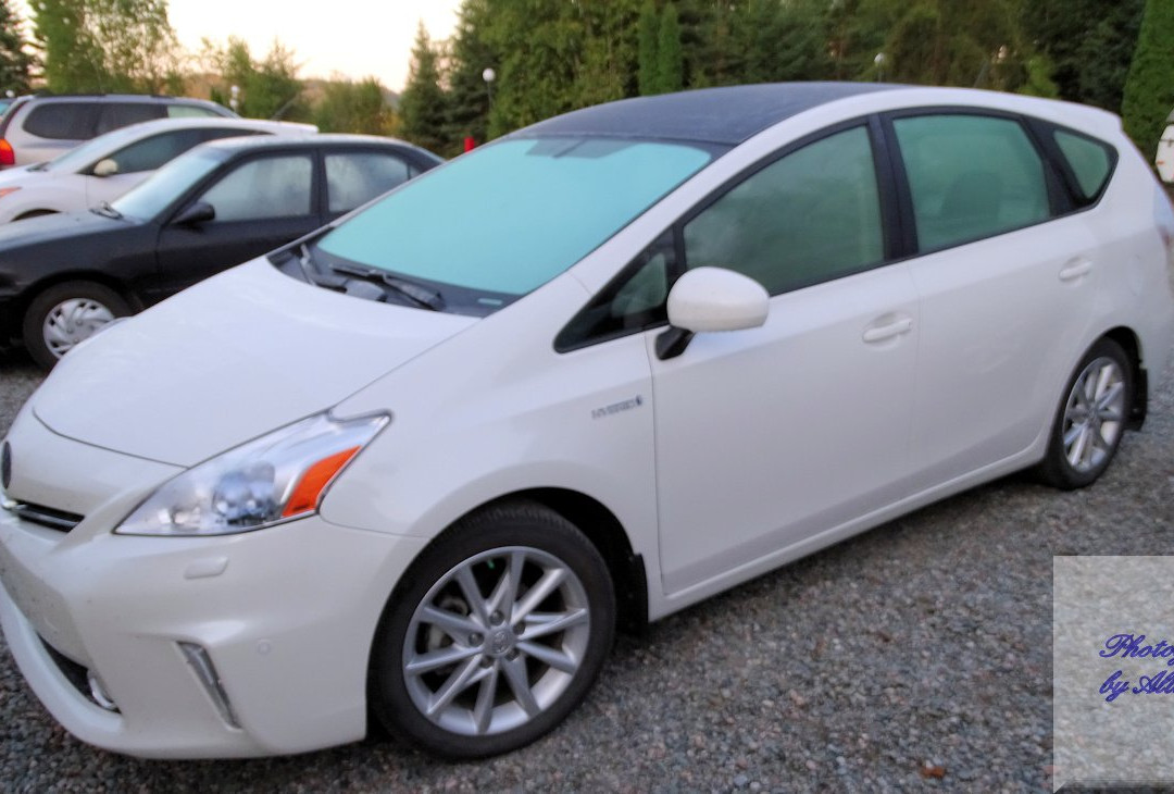 Mystic Isle Motel主图