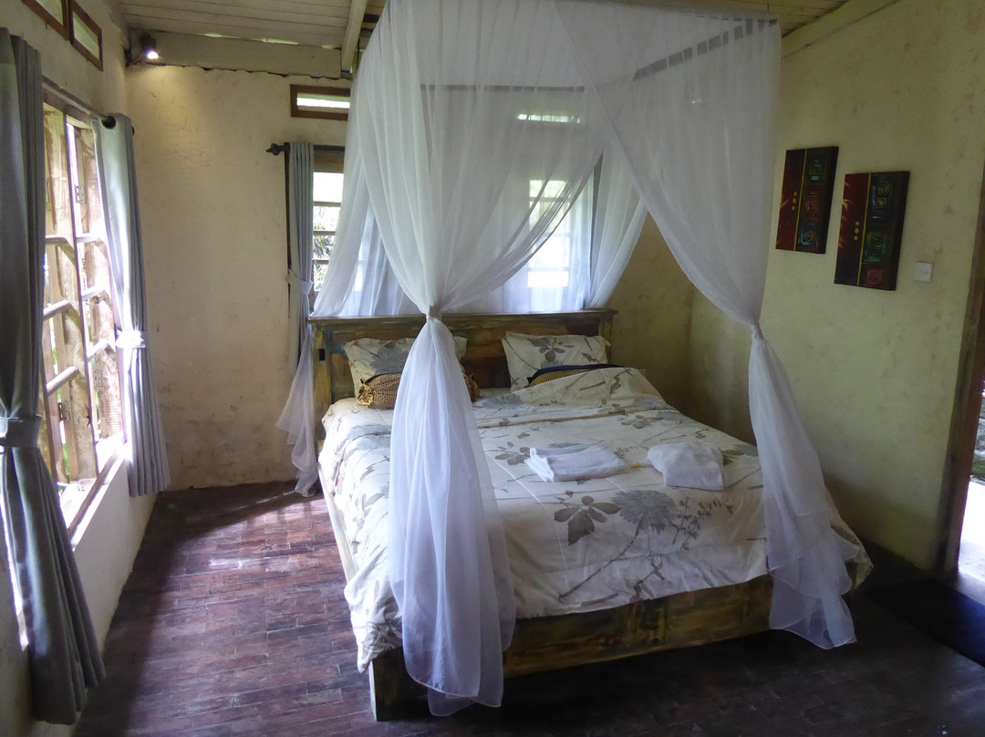 Tepi Sawah Lodge & retreat主图