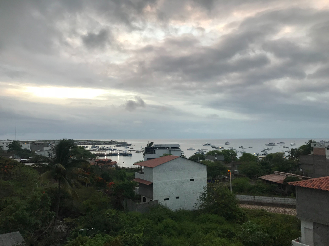 Dolphin House Hostal主图