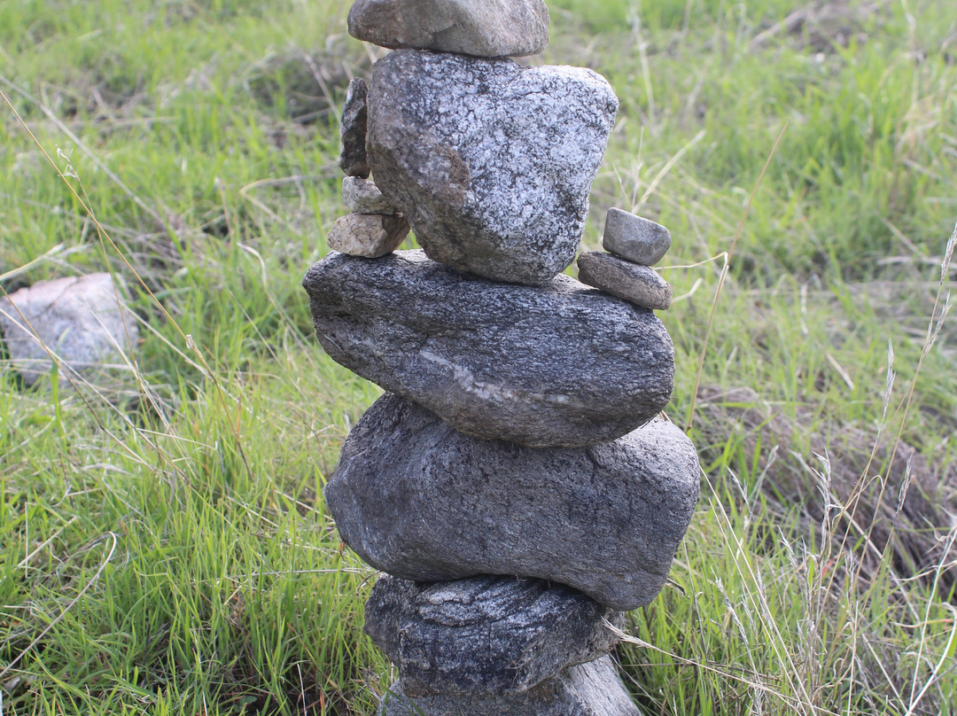 Wind Wolves Preserve-贝克斯菲尔德必去景点