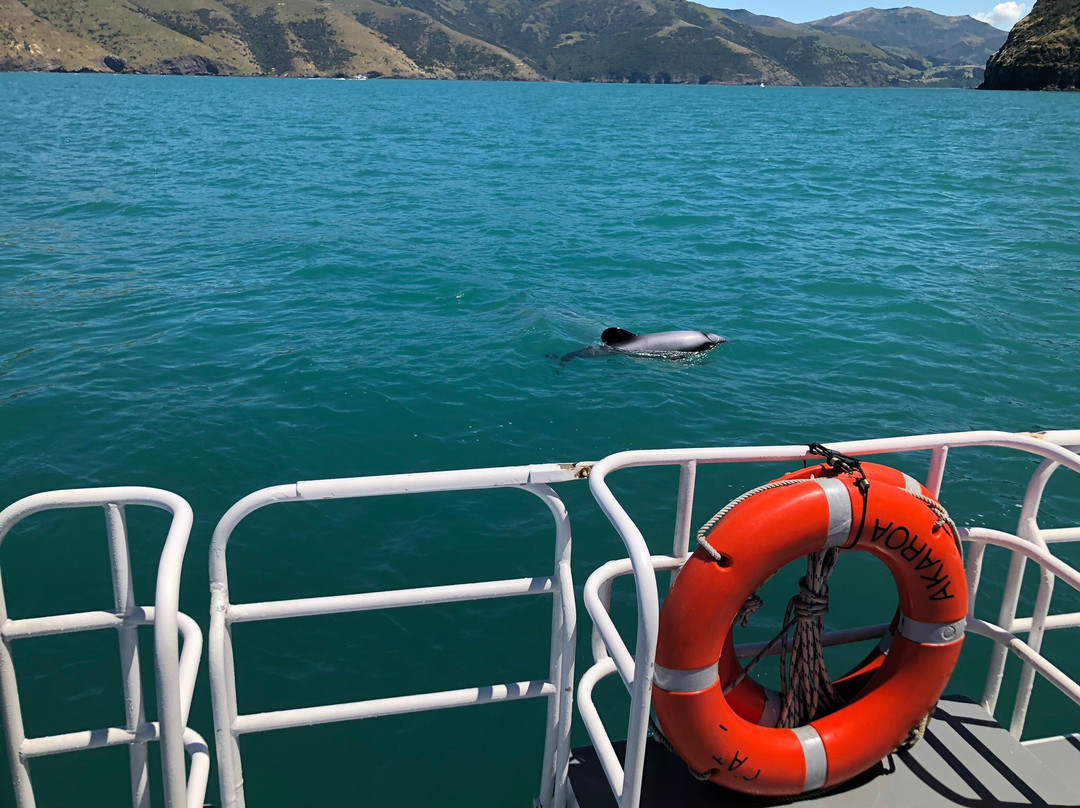 Leisure Tours-基督城必去景点