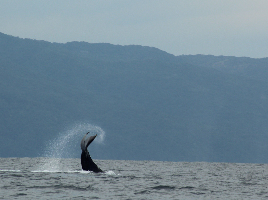 BIOCEAN Wildlife Encounters-新瓦雅塔必去景点