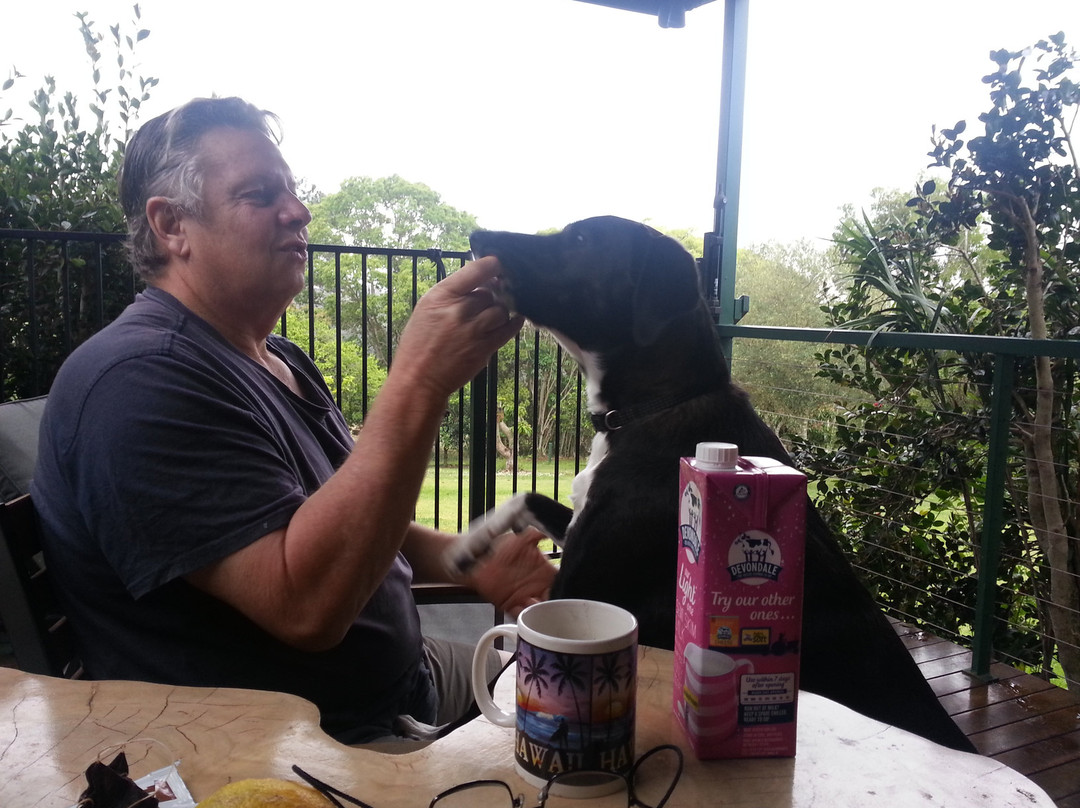 Tropical Coast Retreat - Pet Friendly主图