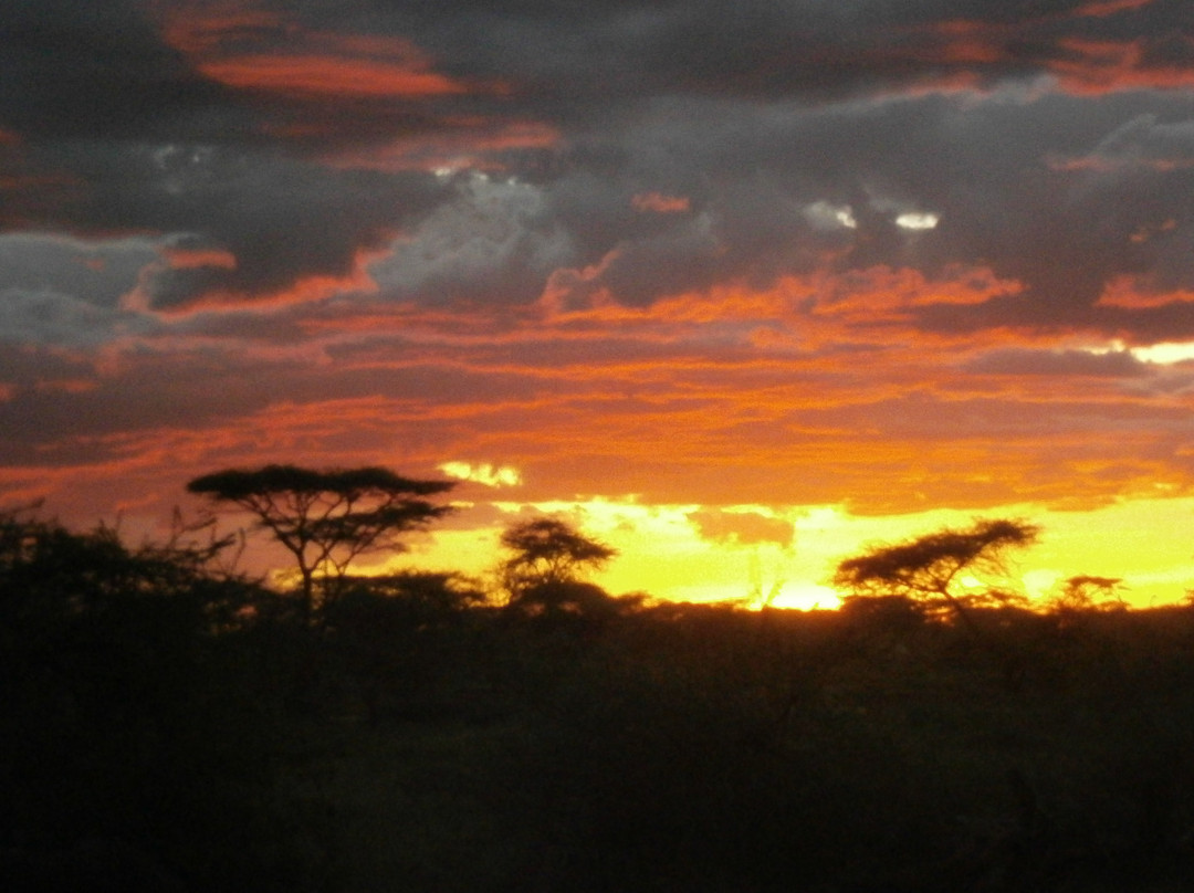 Flamingo Safari Lodge主图