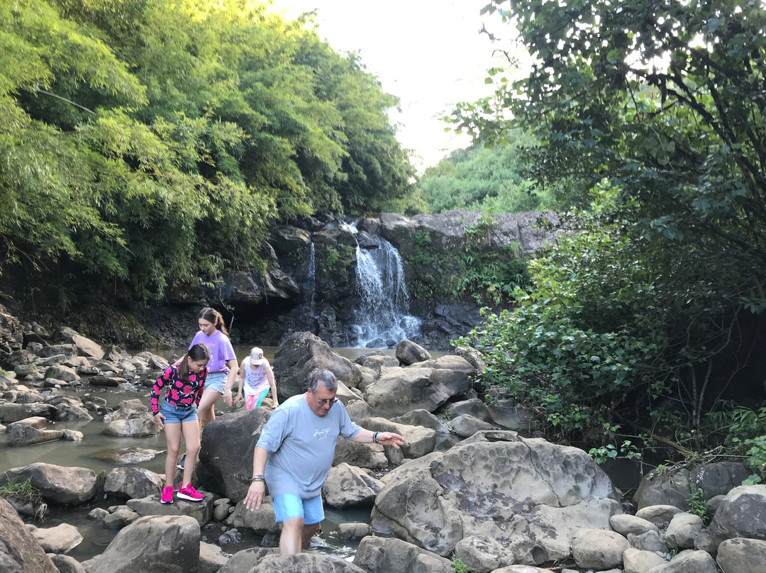 Epic Maui Hikes-哈纳必去景点