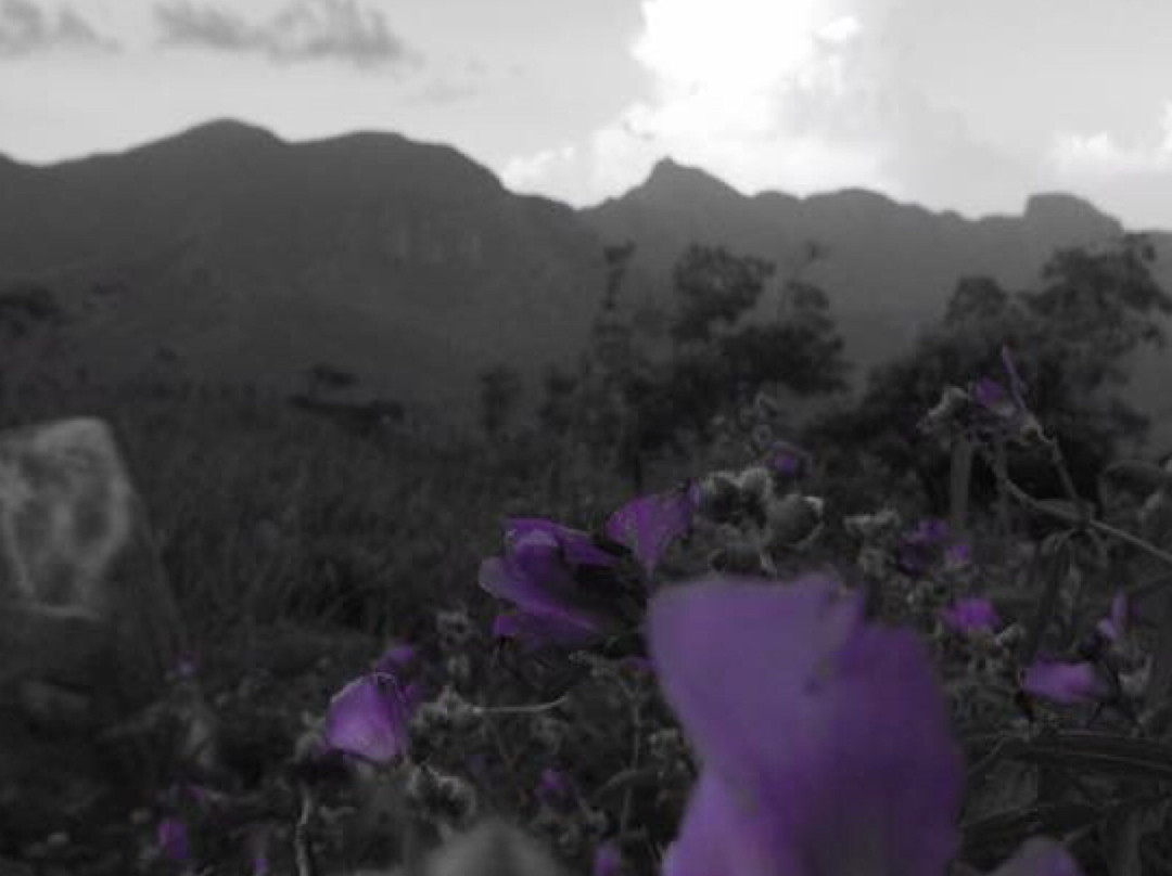 Meemure Isabulana Resort主图