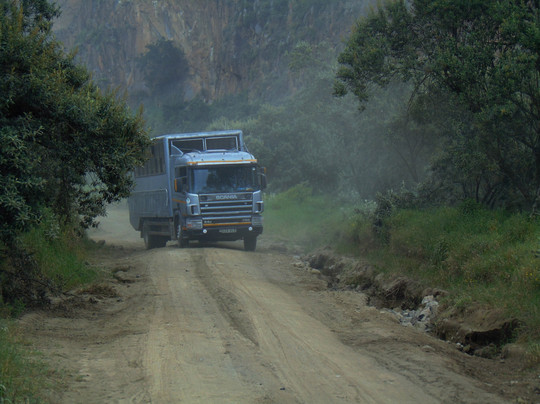 Afrikan Buffalo Wildlife Safaris-马林地必去景点