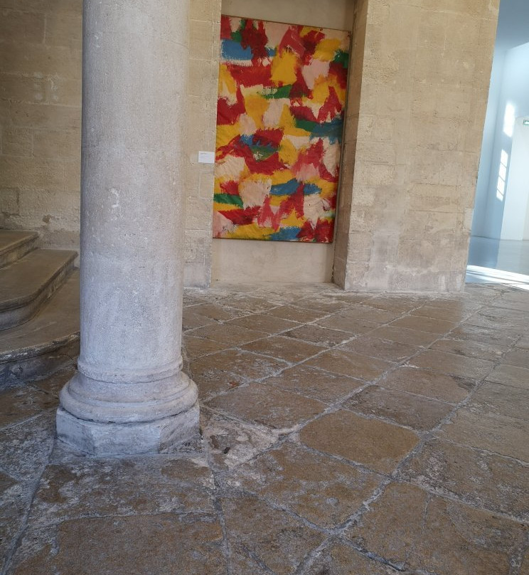 Musée D'art Cotemporain景点图片