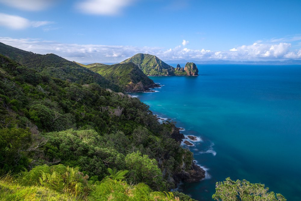 Coromandel Coastal Walkway