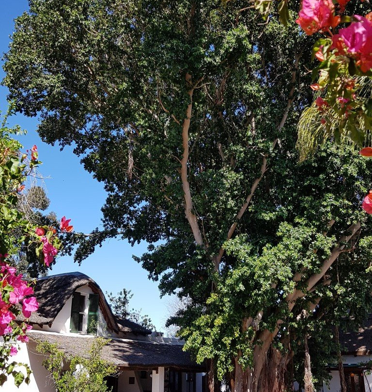 圣杜巴里斯酒店主图