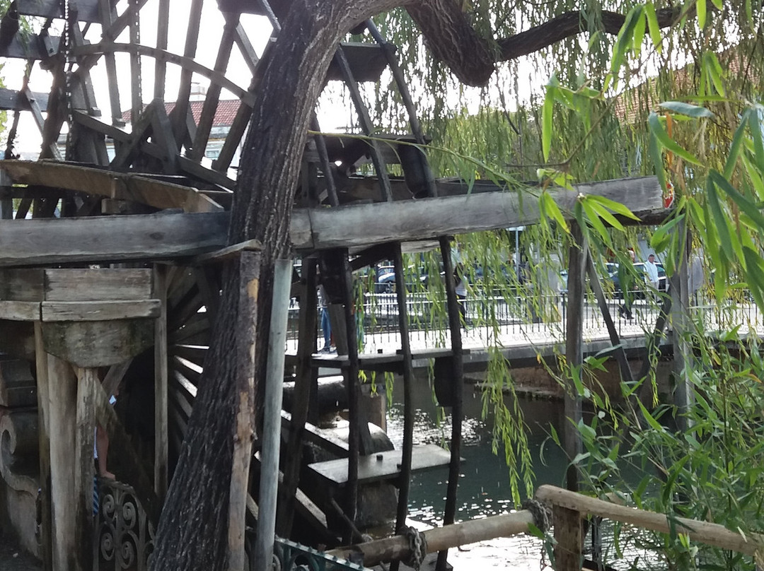 Roda do parque do Mouchao-Tomar必去景点