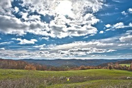 Windswept Acres Homestay主图