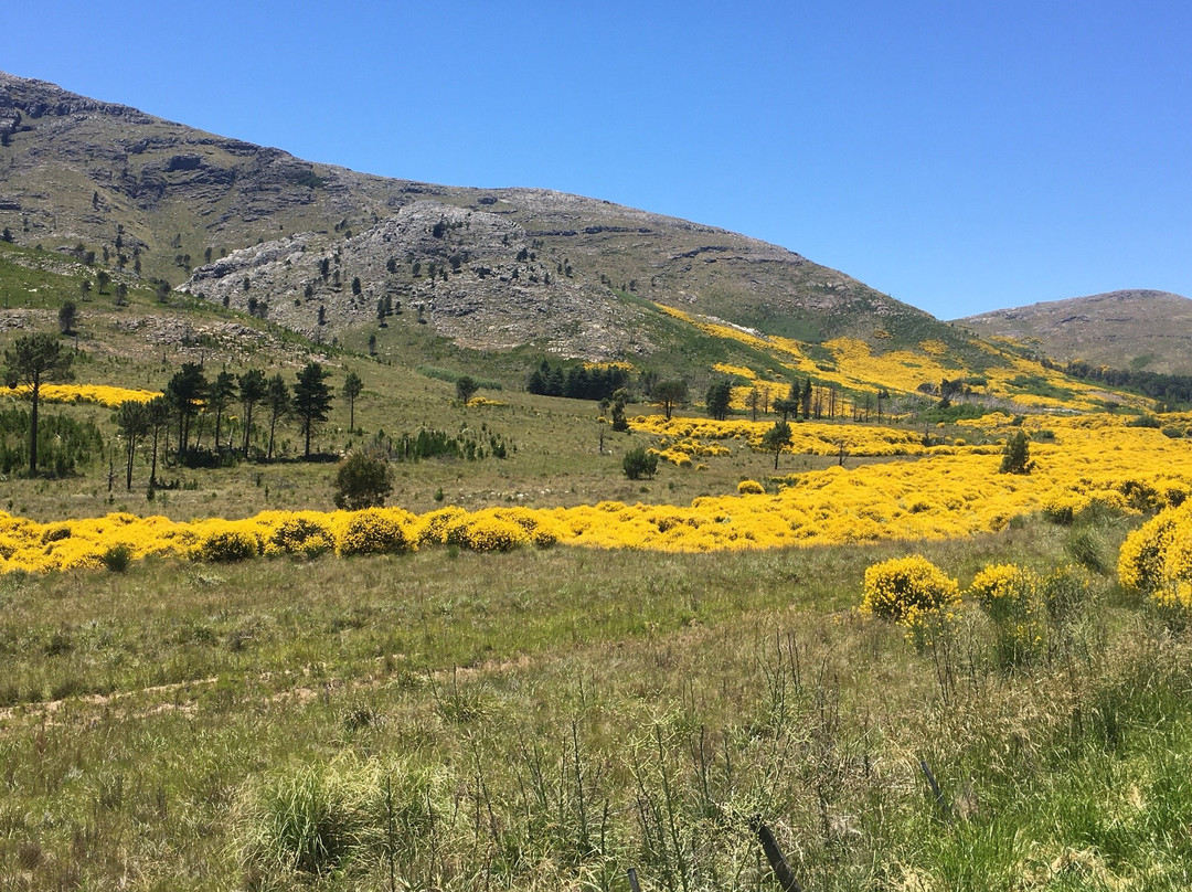 Turismo Sierra de la Ventana景点图片