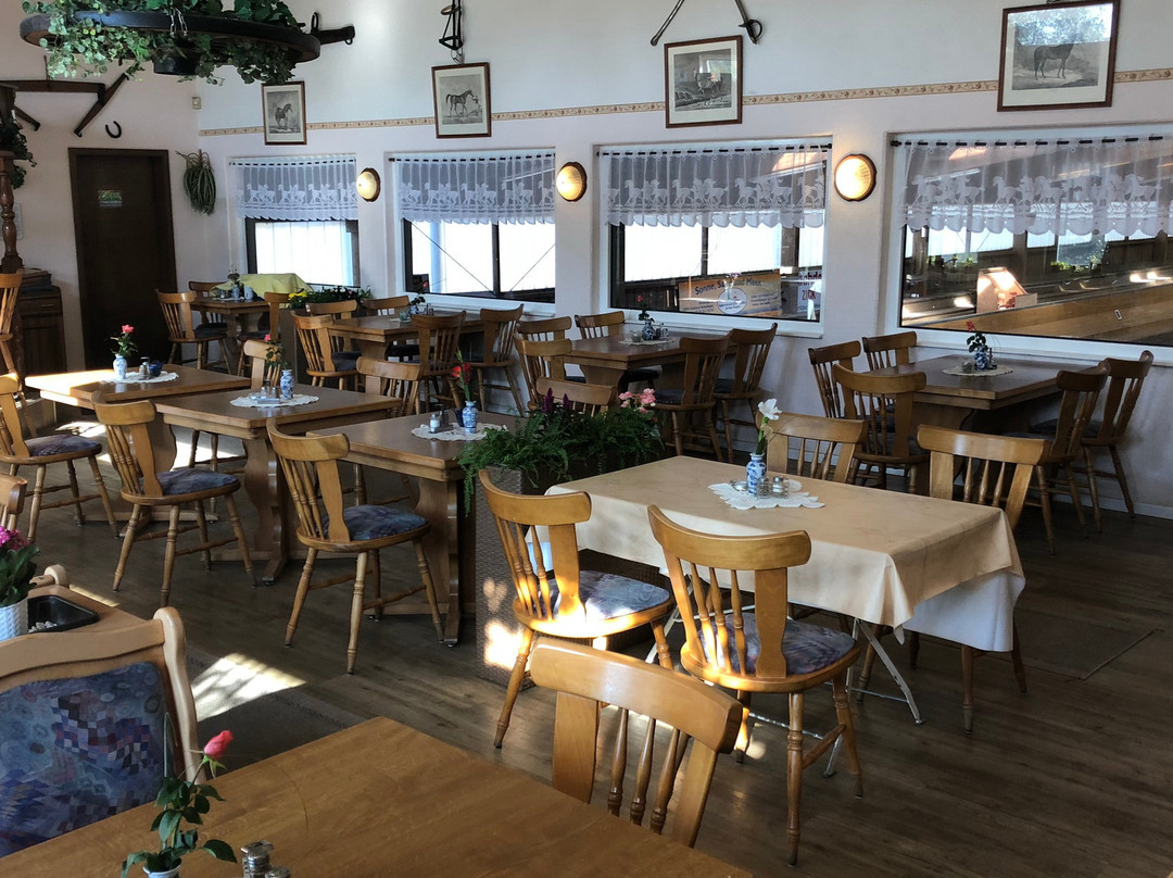 Hotel Zierow - Urlaub An Der Ostsee主图