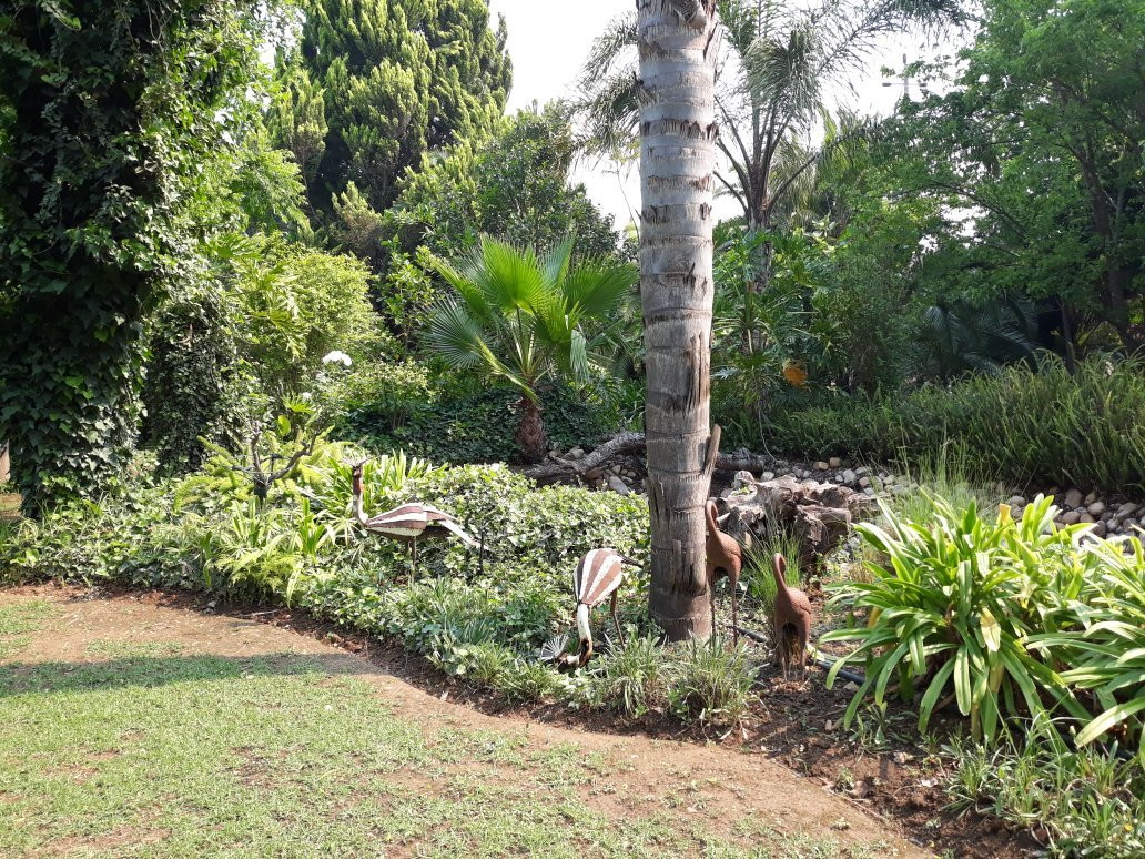 Cosmos Cuisine主图