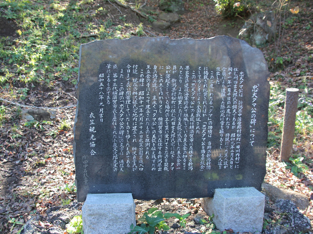 Kinugasayama Park景点图片