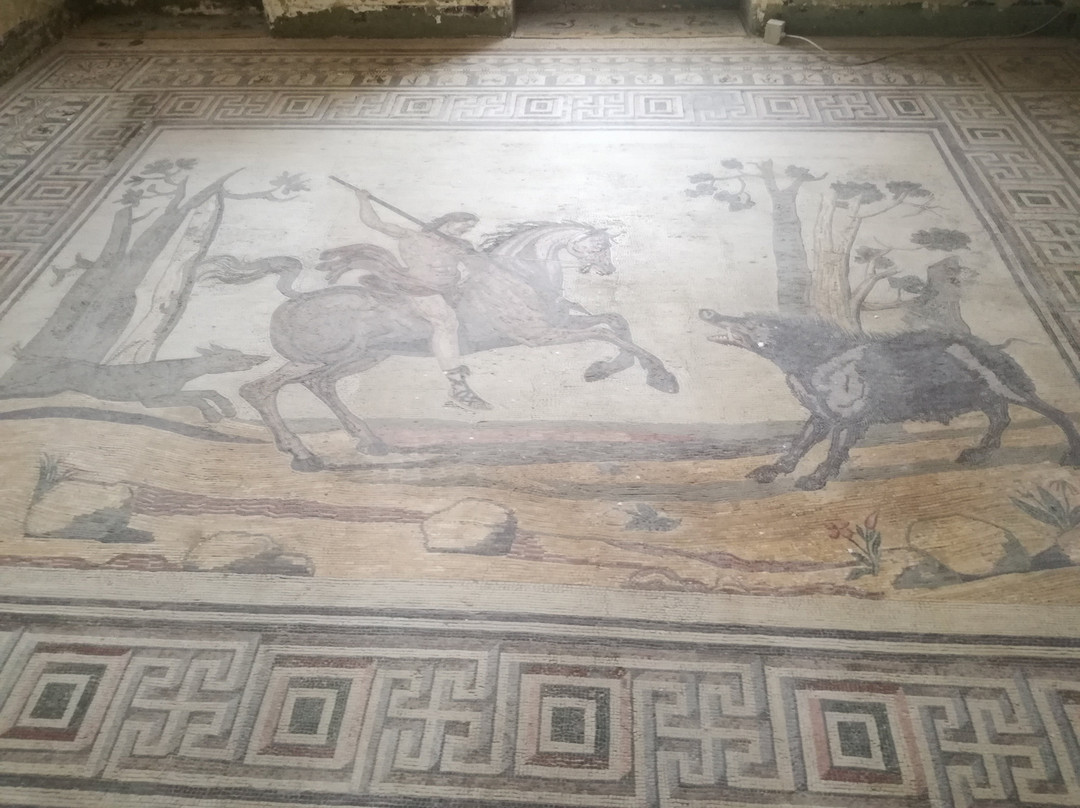 Palazzo Forcella De Seta-巴勒莫必去景点