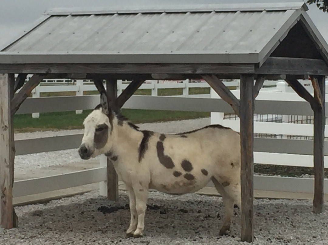 Rutledge-Wilson Farm Community Park-斯普林菲尔德必去景点